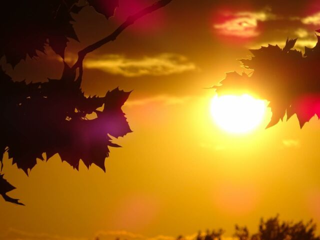 Erster Herbstabend an der Aqua Magica/First autumn evening at Aqua Magica. 
.
.
.
#sonnenuntergang #schattenspiel #sonnenstrahlen #ersterherbstabend #herbst #natur #wolken #sunset #shadowplay #raysofsunlight #firstautumnevening #autumn #nature #clouds #badoeynhausen #loehne #repostradiowestfalica