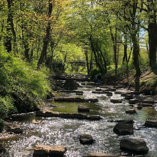 Heimat / Home
.
.
#heimat #heimatliebe #minden #natur #wasser #frühling #home #nature #naturephotography #spring